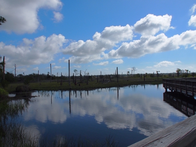 [Water in between land and the boardwalk reflects the puffy white clouds in the blue sky.]